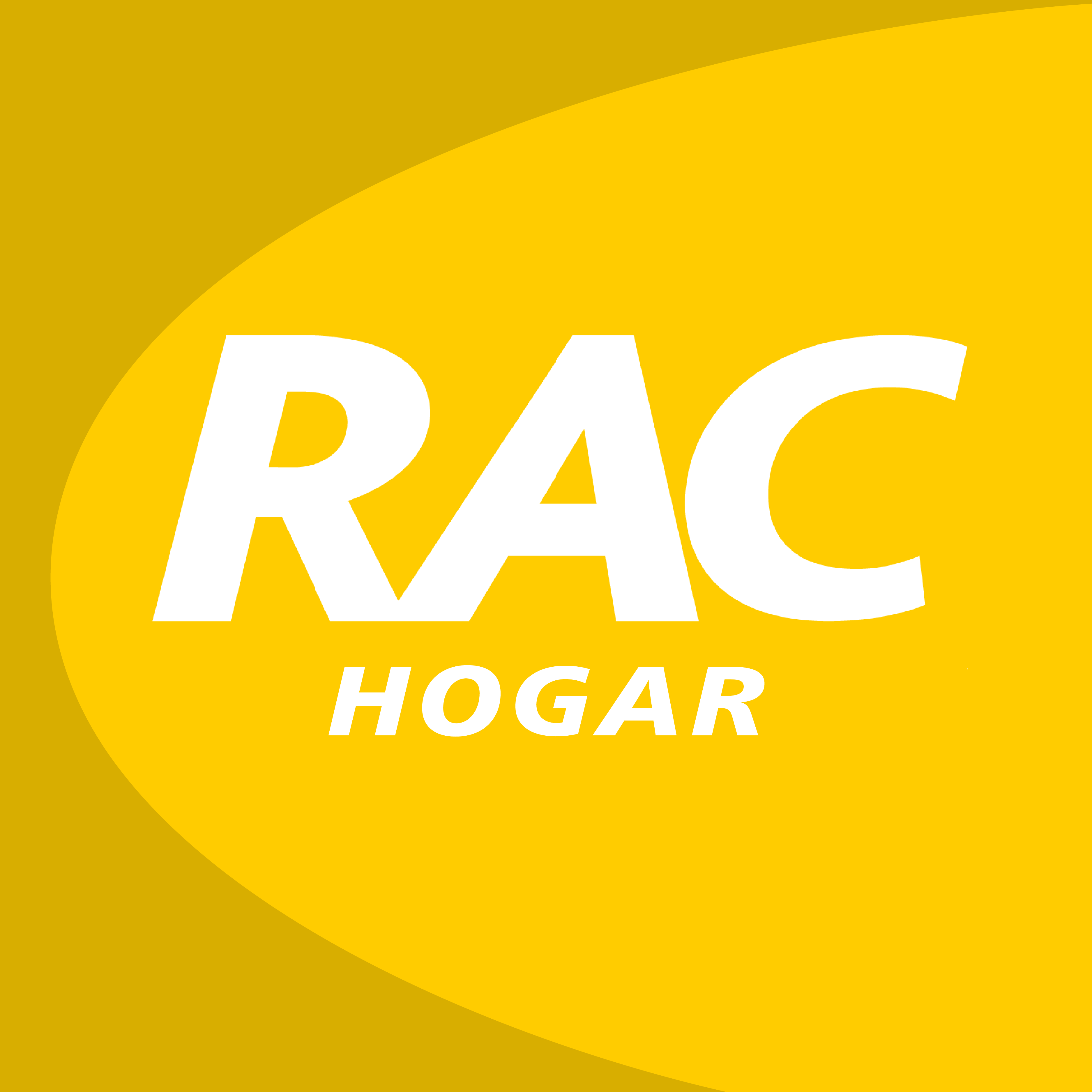 Logo Icon